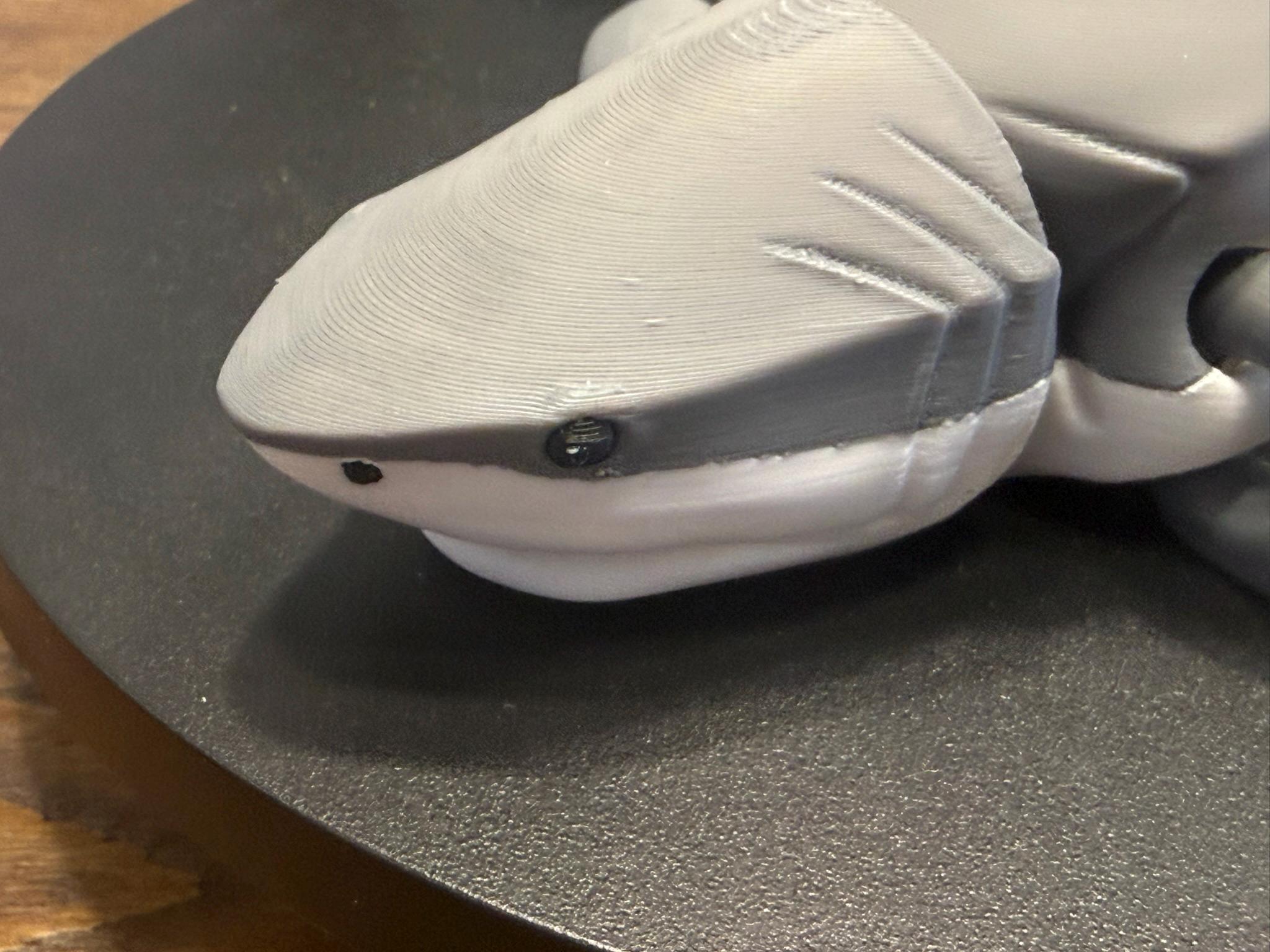 3D Printed Articulated Great White Shark, Poseable Marine Model by Pencil Short Designs LLC