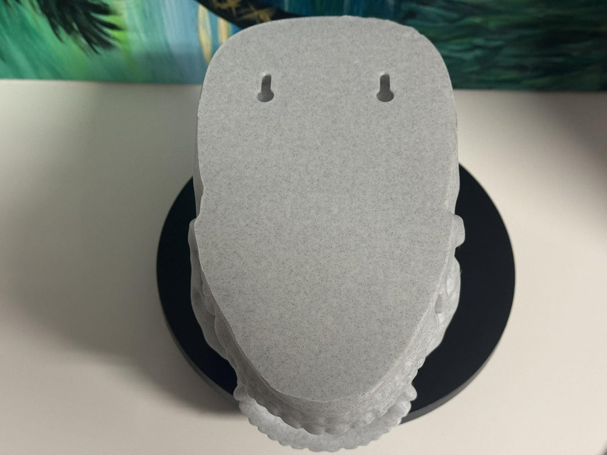 3D Printed Skull Holder: Headset Stand, Dice Tower, Pen Organizer