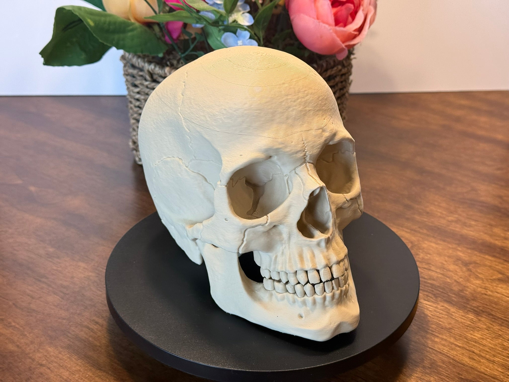 3D Printed Human Skull Model: Life-Size Anatomical Replica