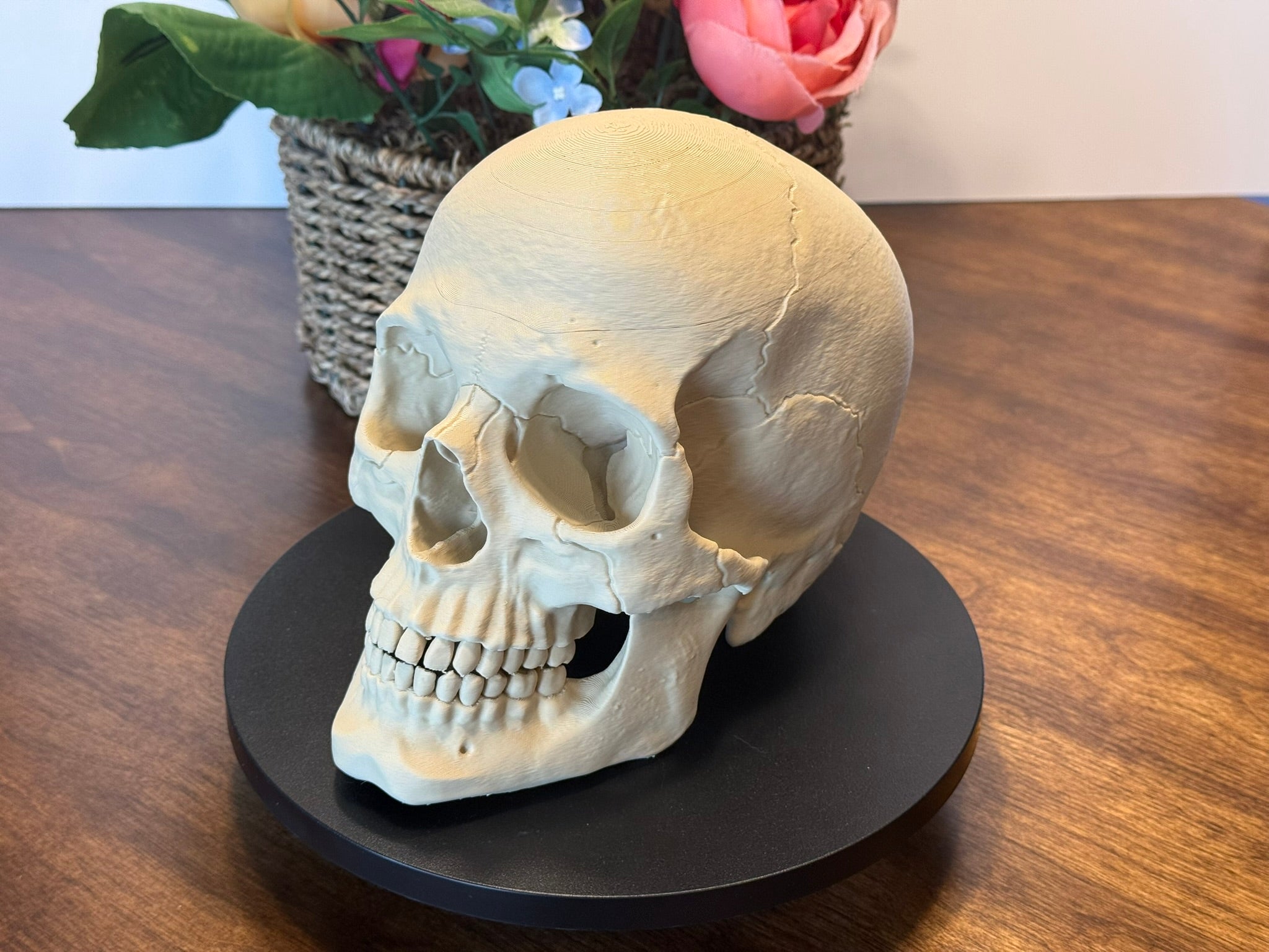 3D Printed Human Skull Model: Life-Size Anatomical Replica