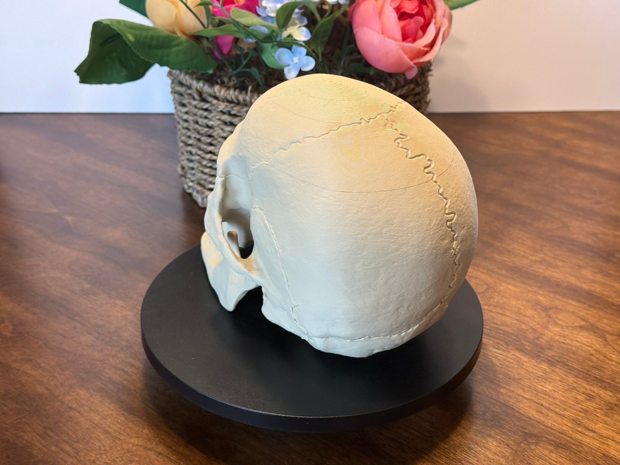 3D Printed Human Skull Model: Life-Size Anatomical Replica