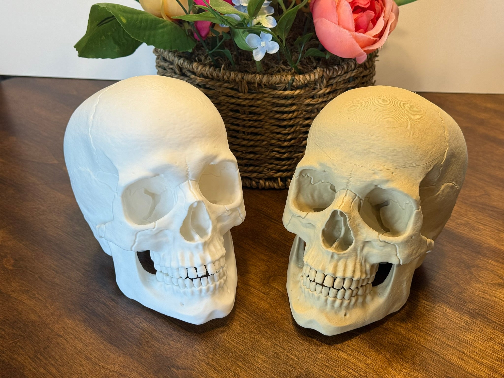 3D Printed Human Skull Model: Life-Size Anatomical Replica
