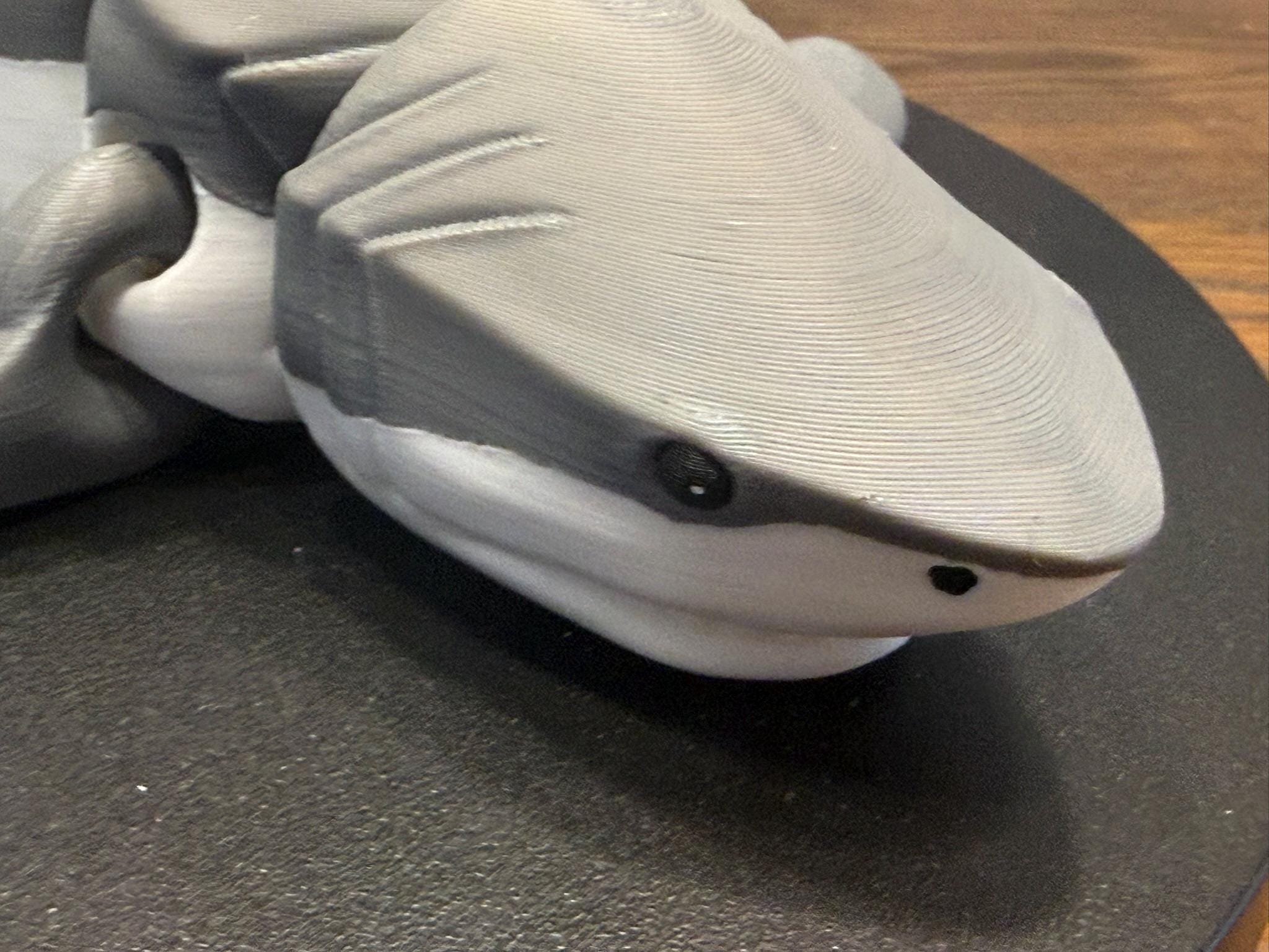 3D Printed Articulated Great White Shark, Poseable Marine Model by Pencil Short Designs LLC